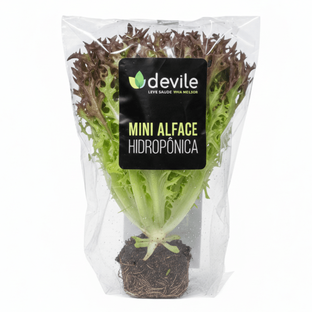 Mini Alface Devile Frizé Roxa